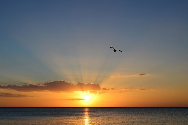 GBK sales office summer closure